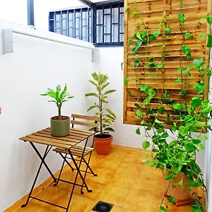  Apartamento Cruz De Tenerife, Acogedor, Centrico, Garaje España